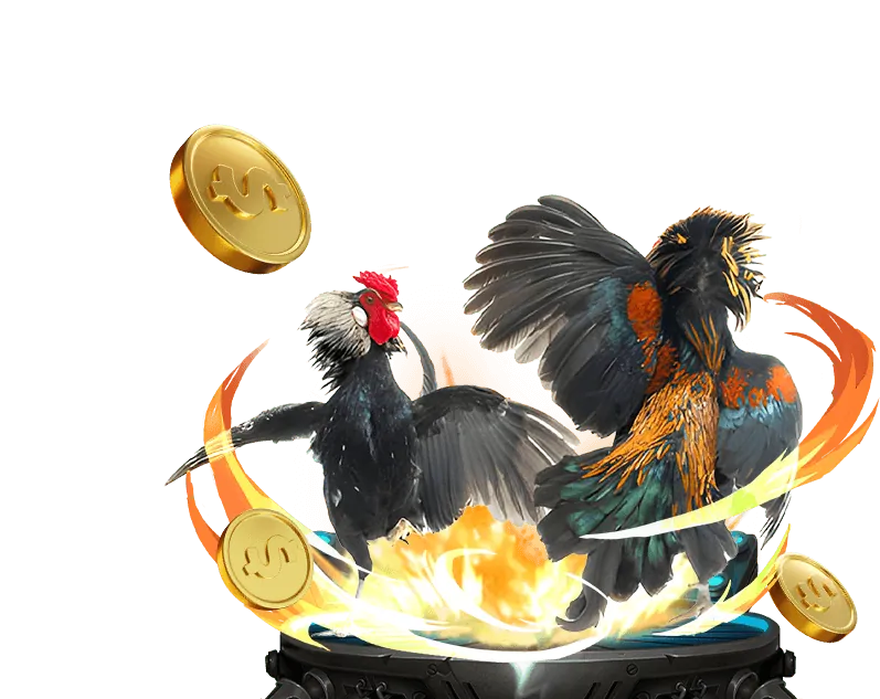 Hình ảnh minh họa các cấp độ VIP tại 555win